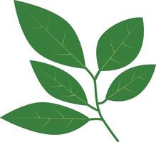 Tropical Leaves Clipart with Cartoon Design, Isolated on White Background vector