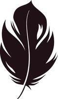 Bird Feather Silhouette. Isolated on White Background vector