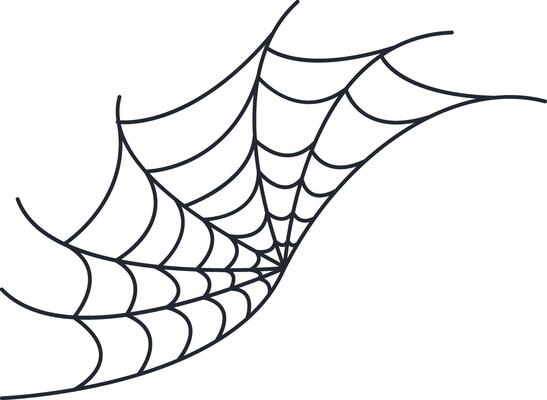 Hand Drawn Halloween Spider Web in Simple Design