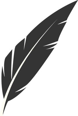 Silhouette of Majestic Feather. Bird Feather on White Background