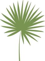 Tropical Leaves Illustration, Isolated on White Background. vector