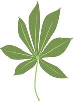 Tropical Leaves Illustration in Cartoon Design vector