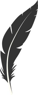 Black Silhouette of Majestic Feather