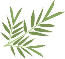 Tropical Leaves Illustration, Isolated on White Background vector