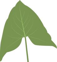 Tropical Leaves Illustration Isolated on White Background vector