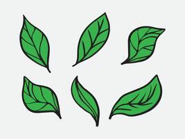 Green leaf set plant illustration vector