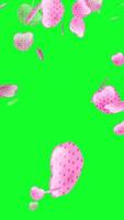Falling Pink Love Background. Vertical Animation video