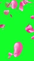 Falling Red Love Background. Vertical Animation video