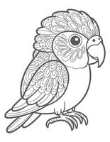 Stylized parrot with ornate feathers and crest bird tropical bird vector