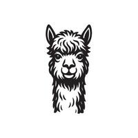 Alpaca Head Illustration vector