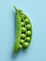 Bright Green Peas in a Pod on a Clean Blue Background With a Fresh and Minimal Presentation Highlighting Their Natural Beauty photo