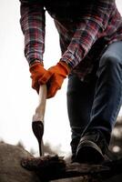 Lumberjack In Plaid Shirt Chopping Firewood With Axe In Forest During Daytime, No face. photo