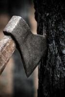 Close-Up Of Old Rustic Axe Embedded In Charred Tree Trunk. photo