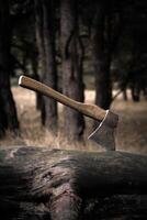 Close-Up Of Axe Stuck In Wooden Log In Autumn Forest At Dusk. photo