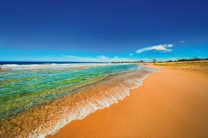 Summers Beach Day photo