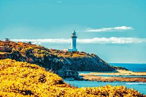 Lighthouse Ocean Cliff photo