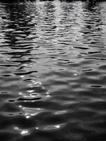 Abstract Black and White Water Texture Rippling Surface Detail. photo