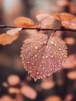 Close up of a Dew-Covered Autumn Leaf. A detailed image showcasing the intricate details of nature's artistry. photo