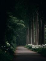 Serene Pathway Through a Dark Green Forest, Illuminated by Soft Light. photo