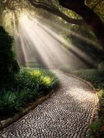 Sunbeams Illuminating a Stone Path Through a Lush Garden. photo
