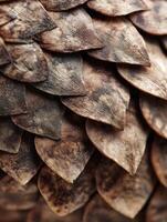 Detailed View of Pangolin Scales Showing Unique Texture and Intricate Patterns From a Macro Perspective photo