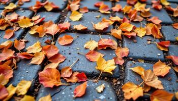 close up view of autumn colored leaves scattered across a stone path, showcasing shades of orange, red, and gold in a natural mosaic. photo