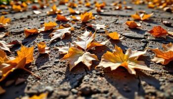 close up view of curled dry oak leaves scattered across a cracked dirt path, their edges crisp and their veins clearly visible in the warm sunlight. photo
