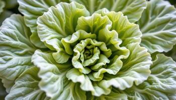 close up view of overlapping lettuce leaves forming a soft, crinkled pattern. photo