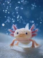 Colorful Axolotl Swimming Gracefully in Clear Water With Light Bubbles and Clean Sandy Bottom photo
