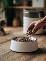 Pet Owner Pours Dry Food Into Modern Pet Bowl During Indoor Feeding Time While a Curious Cat Watches Nearby photo