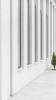 Modern Architectural Facade with Repetitive Windows and Clean Lines. Minimalist White Building Exterior in Urban Setting with Green Shrub. photo