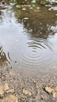 Captivating CloseUp of Rain Ripples in a Serene Puddle, Reflecting Natures Tranquil Beauty on a Wet Ground Surface photo