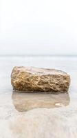 Ancient Stone Resting on Wet Sand at the Water's Edge, Reflecting the Calmness of the Coastal Landscape Under a Soft, Muted Sky photo