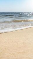Golden Sands Meet Gentle Ocean Waves on a Pristine Beach Shoreline, Bathed in Serene Sunlight photo