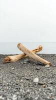 Weathered driftwood rests peacefully on a serene pebble beach, overlooking the calm ocean horizon. A tranquil natural landscape capturing coastal beauty. photo