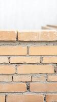 Detailed close-up of a textured brick wall, revealing the robust masonry and mortar work. A timeless architectural surface, perfect for backgrounds and construction themes photo