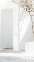 Minimalist White Architecture with Serene Tree Shadows A Modern and Clean Design Aesthetic in Natural Light, Creating Tranquil Outdoor Spaces photo
