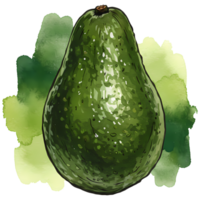 A single avocado with green watercolor splashes on a plain setting, vibrant and fresh looking art piece on transparent background png