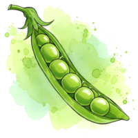 A watercolor painting of a pea pod with six peas inside against a light green and white background on transparent background png