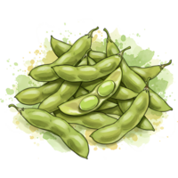 A pile of fresh edamame pods with one pod opened to reveal two beans on a watercolor splash design on transparent background png