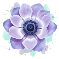 Aquarelle style flower with violet and lavender petals and a navy center on a transparent canvas on transparent background png