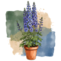 A potted delphinium plant with blue flowers against a watercolor style painted canvas texture effect on transparent background png