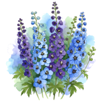 Watercolor painting of delphinium flowers in shades of blue and purple with green leaves and stems on transparent background png
