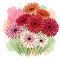 Watercolor style depiction of a bouquet of gerbera daisies in various shades with green grass on transparent background png