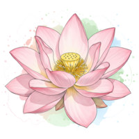 A beautiful pink lotus flower with yellow center and soft watercolor style spots surrounding it art piece on transparent background png