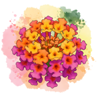 A colorful lantana flower cluster with pink orange and yellow petals on a watercolor background design on transparent background png