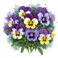 A watercolor painting of a cluster of pansies with purple yellow and blue petals and green leaves on transparent background png