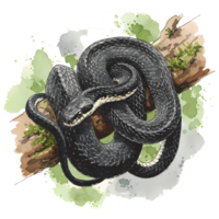 Graceful black snake resting on a branch, presented in a detailed watercolor style with a transparent background for diverse design projects. png