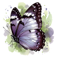 Graceful butterfly illustration with delicate watercolor accents and a transparent background, perfect for artistic and nature-themed designs. png