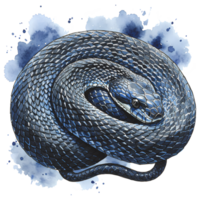 Intricate illustration showing a black rat snake coiled against a transparent background with artistic watercolor accents surrounding it. png
